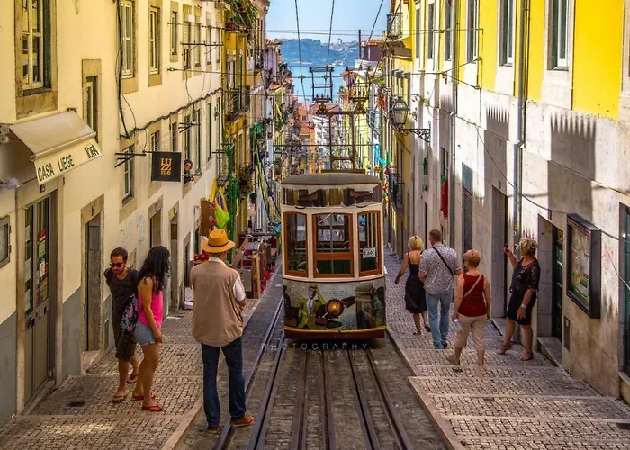 Comfy @ Chiado